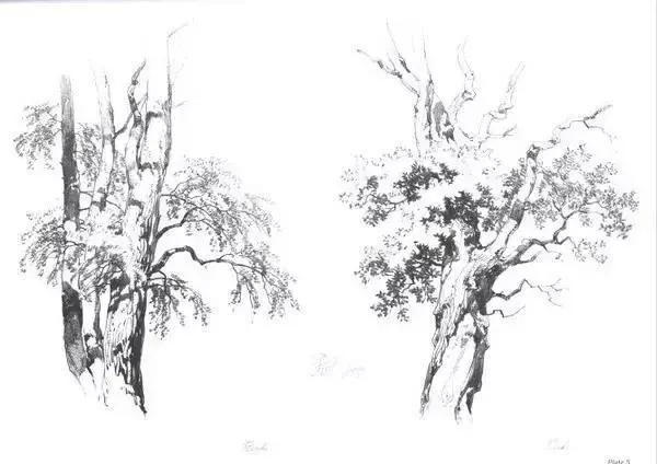 中学生20分钟风景速写临摹图片,速写风景怎么画得又快又好