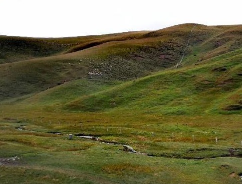 云南自驾游5天最佳路线旅游攻略,云南自驾游攻略5天