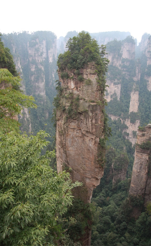 缓解眼睛疲劳动态图壁纸,好看的手机壁纸护眼高清图文