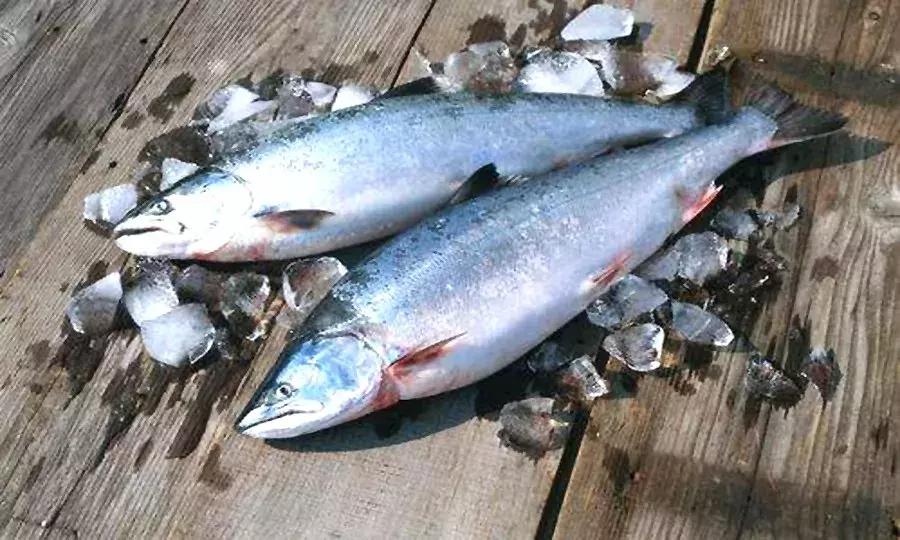 老年人缺锌缺铁吃什么药补得快,老年人缺钙时补充什么维生素