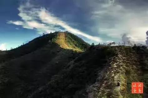 珠海冬季风景,南方冬天自然美景珠海