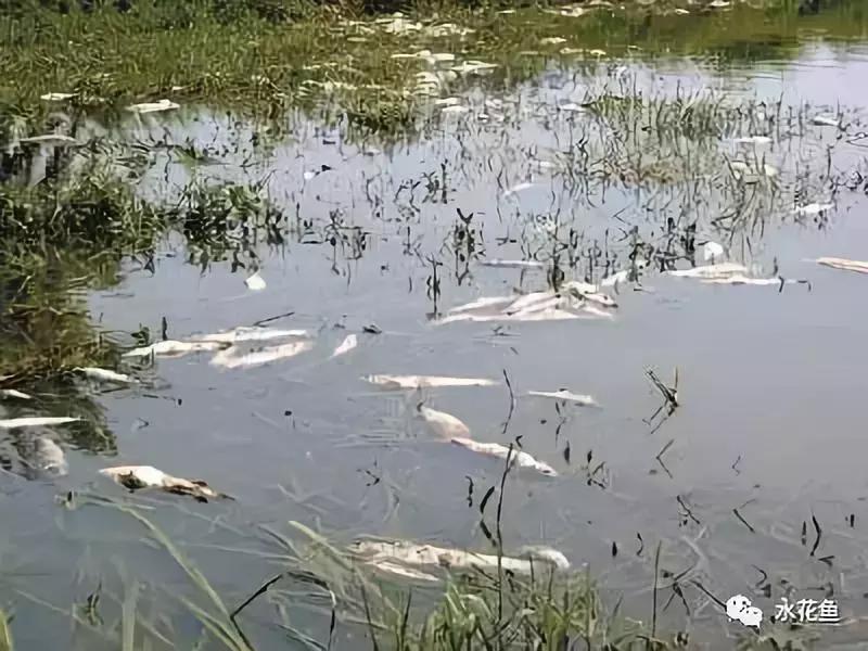 低温不退用什么药,低温咋治