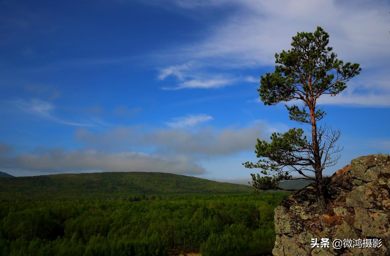 大兴安岭漠河北极村导游词,大兴安岭导游词2000字