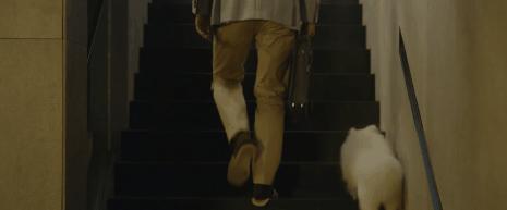 2020六部奥斯卡最佳影片,2022奥斯卡电影史上最经典的十部