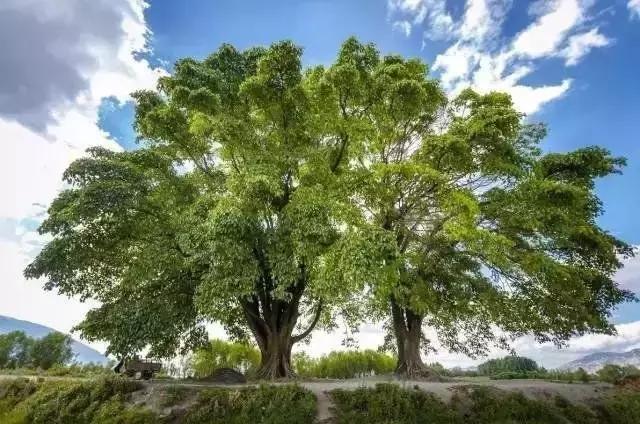 高情商的10大表现你有多少,高情商的十二种表现方式有哪些