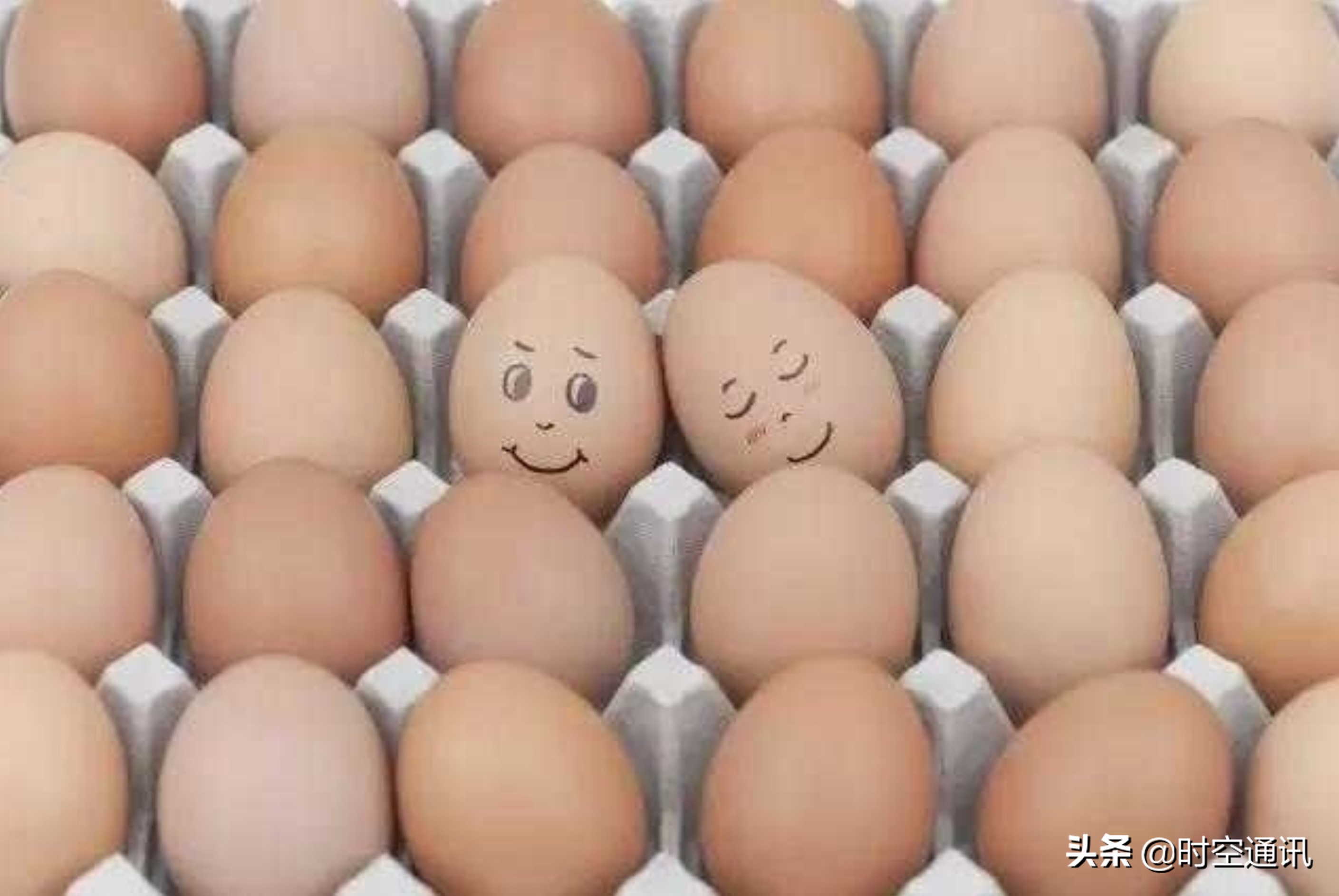 土鸡蛋和普通鸡分别都长什么样,土鸡蛋一般是哪种鸡的