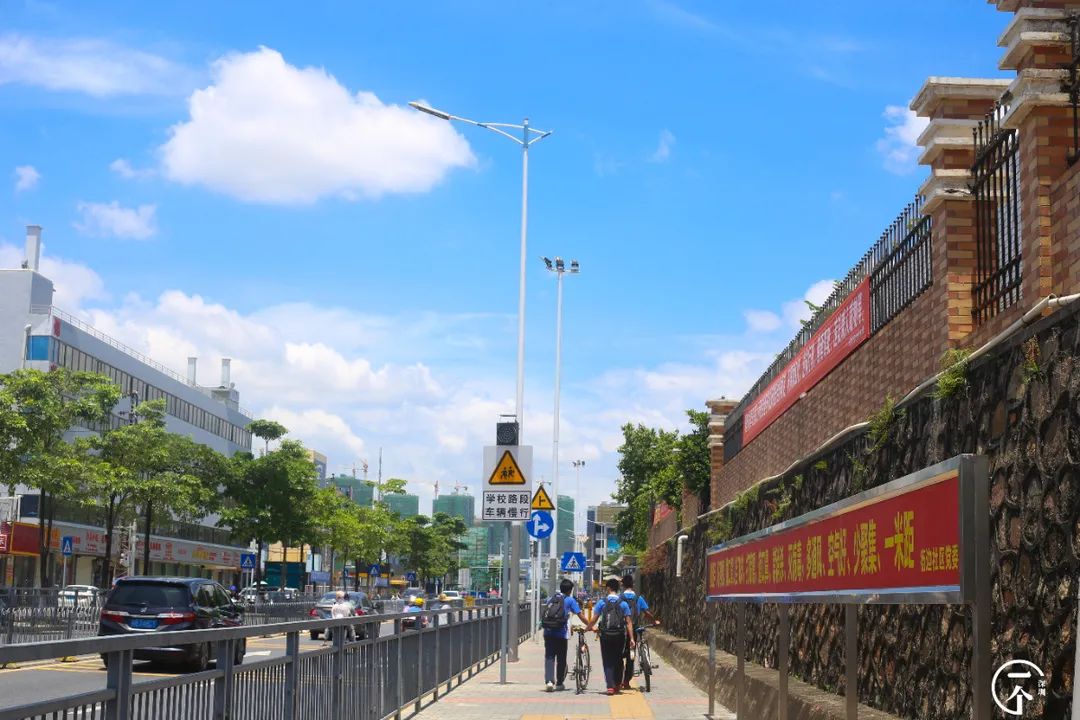 全深圳都要羡慕住在沙井的人,羡慕深圳有房的人