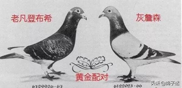 缁忛獙浜掗壌,缁忛獙姝ｄ氦鍑芥暟