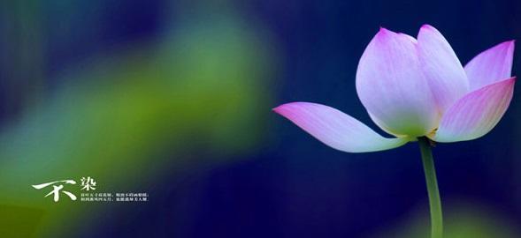 在五言律诗中平仄格式,五言律诗的平仄格式是什么