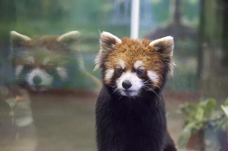 春节去哪里旅游好吃的多一点,好嗨哟吃喝玩乐