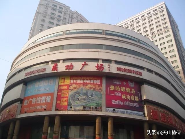 迪丽热巴古力娜扎见过面吗,迪丽热巴跟古力娜扎合影