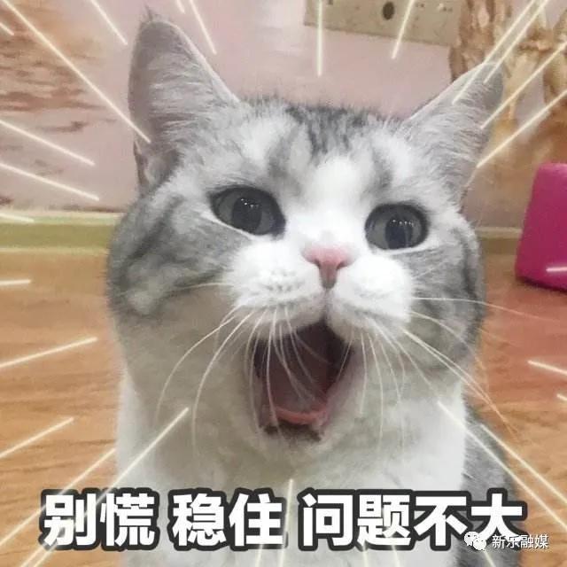 滨海新区无证幼儿园整改,国家对无证幼儿园的处理方法