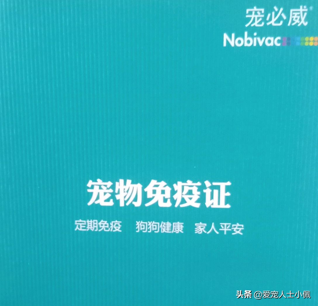 养狗需要具备哪些条件,养狗需要哪些条件