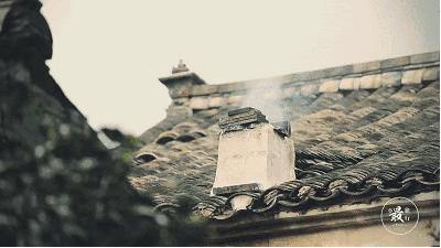 梁孟华：归来兮乡村“歌唱家”