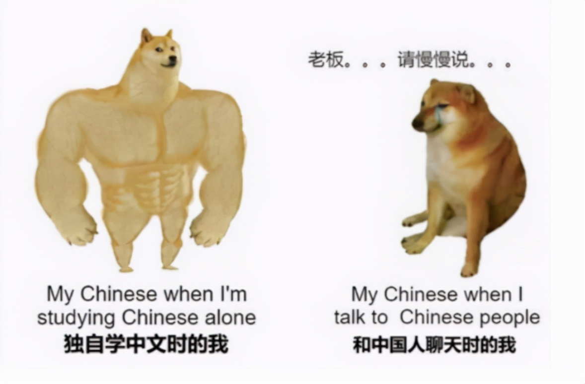 “中文太难了！”，让美国人痛苦不堪的中文试卷，看完笑翻网友