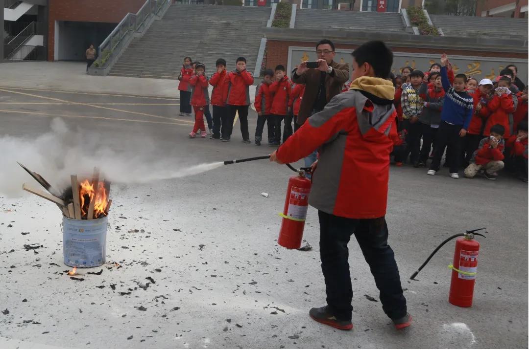 南京市金陵小学简介,南京市金陵小学多少个班