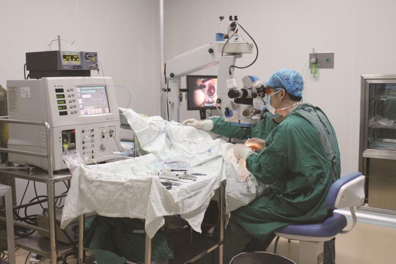 聊城光明眼科医院副院长赵长涛,聊城光明眼科医院赵长涛