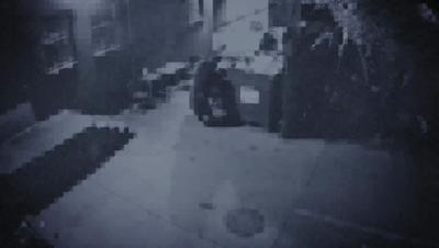 豆瓣netflix电影,bbc地球奇观纪录片