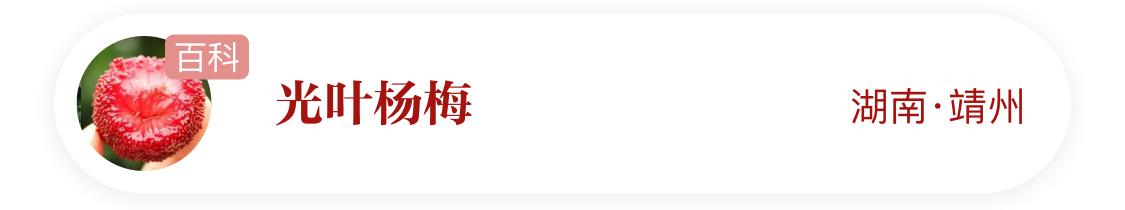 国家地理标志产品仙居杨梅,杨梅地理