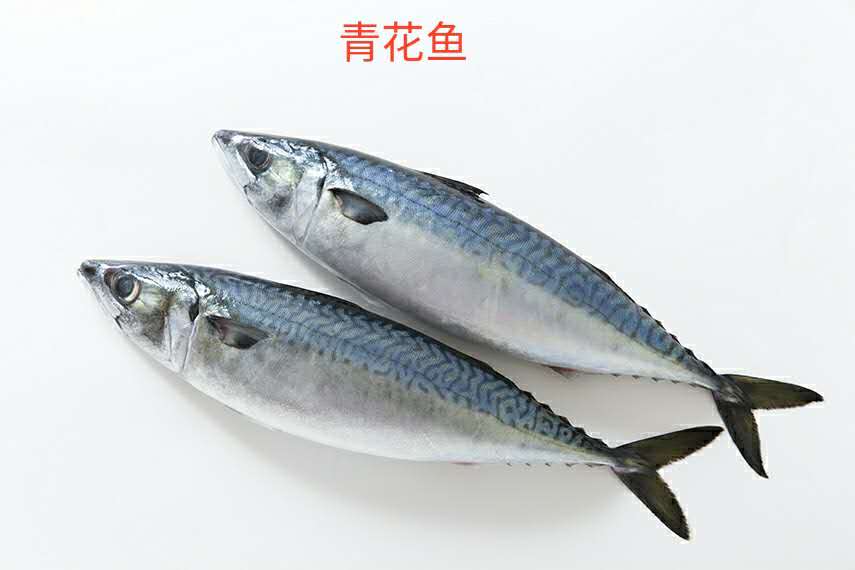 想要宝宝聪明多吃富含dha和蛋白质,孩子吃什么鱼适合补充dha