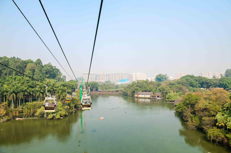 广州长隆野生动物世界的游玩攻略,广州长隆野生动物世界一日游回顾