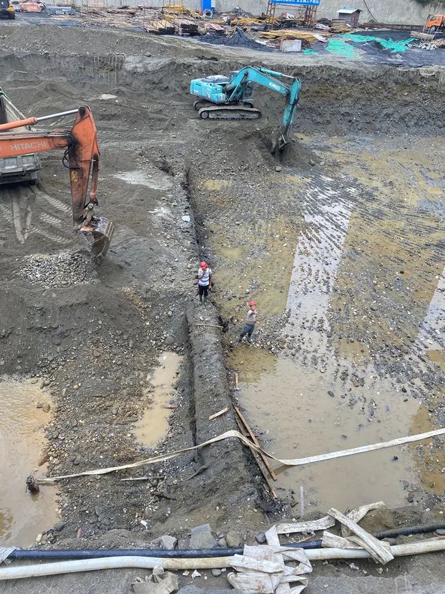 地下挖出千年阴沉木,四川挖出阴沉木