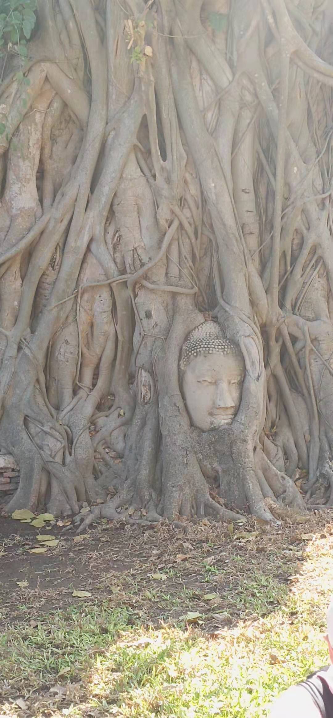 2022泰国自由行,近期泰国自由行最详细攻略