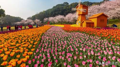 苏州上方山森林公园作文,苏州上方山国家森林公园电话