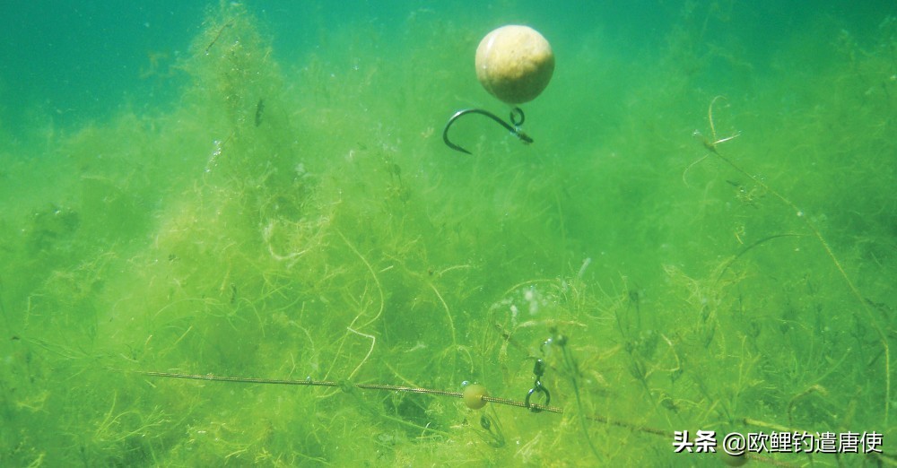 有哪些基础钓法初学者要学会,新手最稳妥的一种钓法