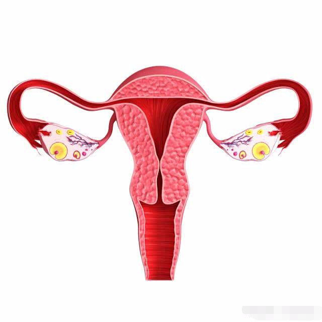 备孕生孩子前应注意些什么,备孕怎样的孩子生出来聪明