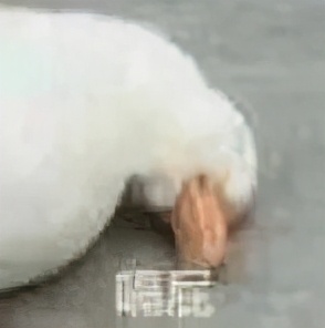 黑头粉刺毛孔粗大怎么隐形毛孔,毛孔粗大cc霜怎么用才能隐形毛孔