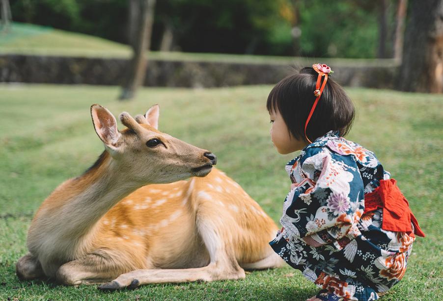 日本奈良必去十大景点,日本小长假去哪里
