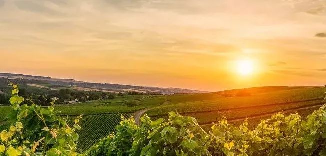 疯狂的瓶子捡玉视频,疯狂的瓶子视频