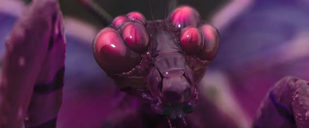 沉沦了10年,这3部B级恐怖片,或将是这位昔日影帝的出路