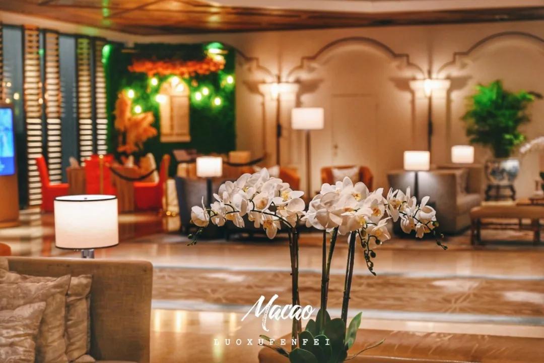 第一次去澳门玩的攻略,第一次去澳门有什么值得买的