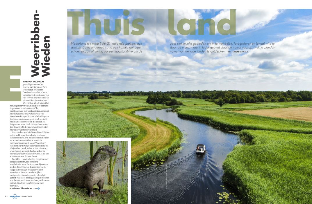 夏日童趣三年级,童趣夏日好时光