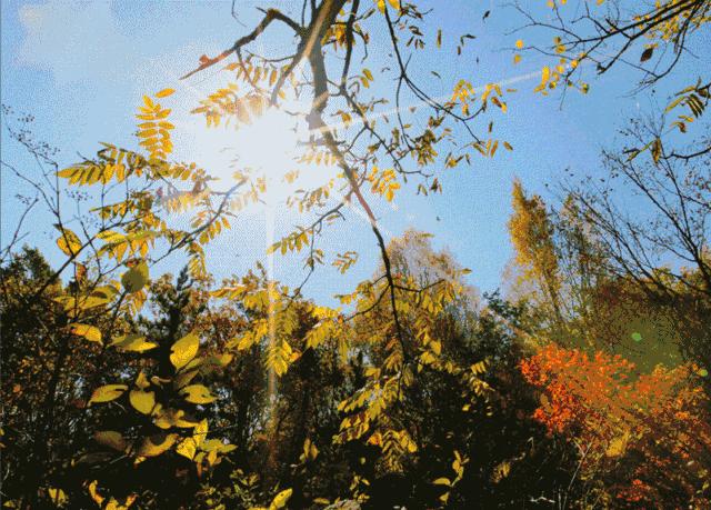 韶关碧桂园温泉酒店,韶关市碧桂园江山樾民宿