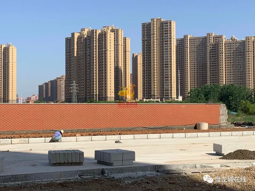 盘龙城近期道路有什么规划,盘龙城跨府河通道规划