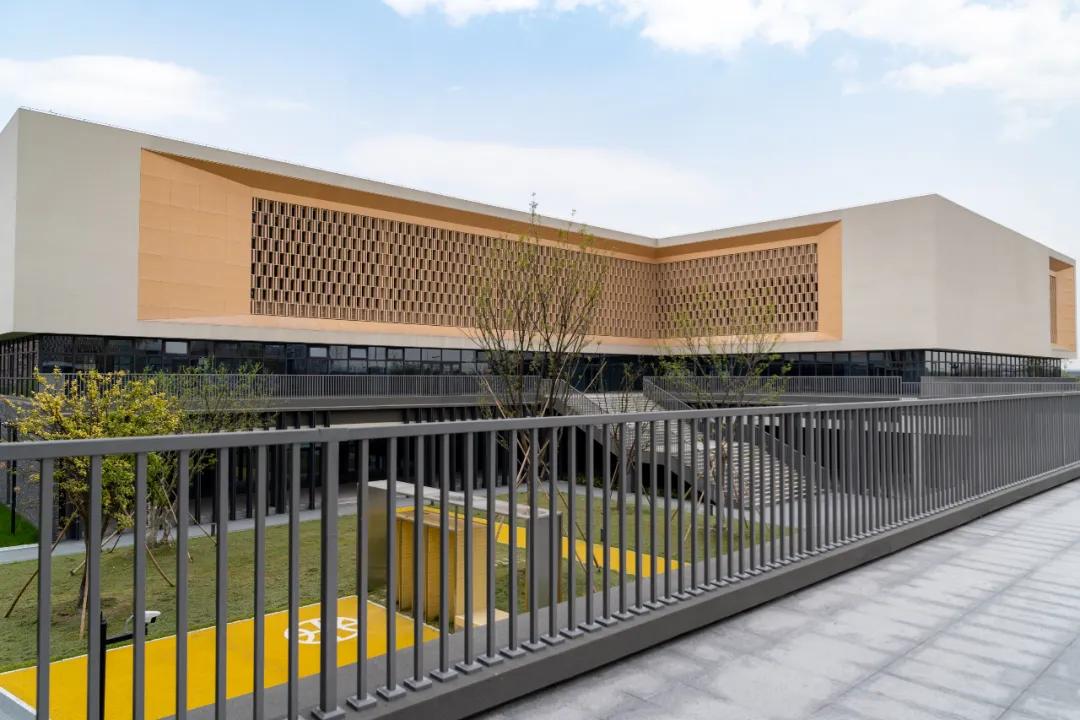 余杭新规划的学校,美翻了的校园