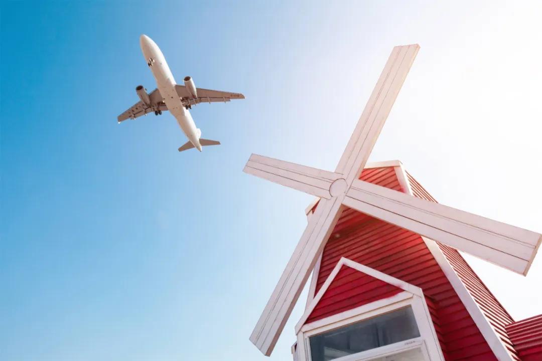 在空港花田里怎么拍照好看,每张都是屏保