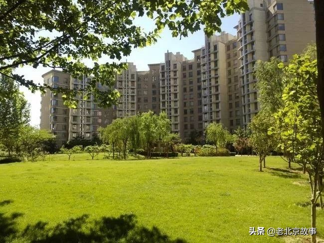 住在朝阳区有什么好处 (住在朝阳区好还是海淀区好)