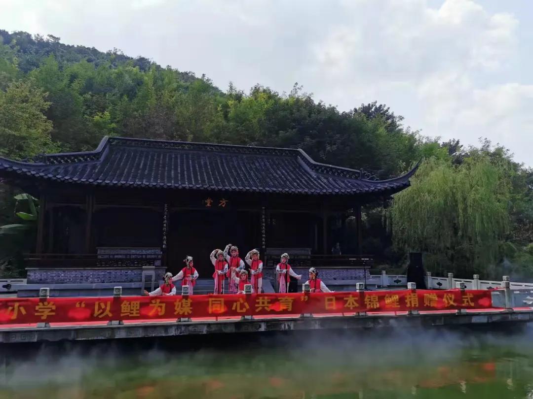 南京市金陵小学简介,南京市金陵小学多少个班