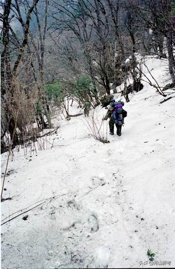 寻找野人的张金星现在如何,张金星神农架野人