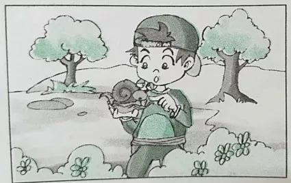 一二年级看图写话范文100篇,一二年级满分看图写话