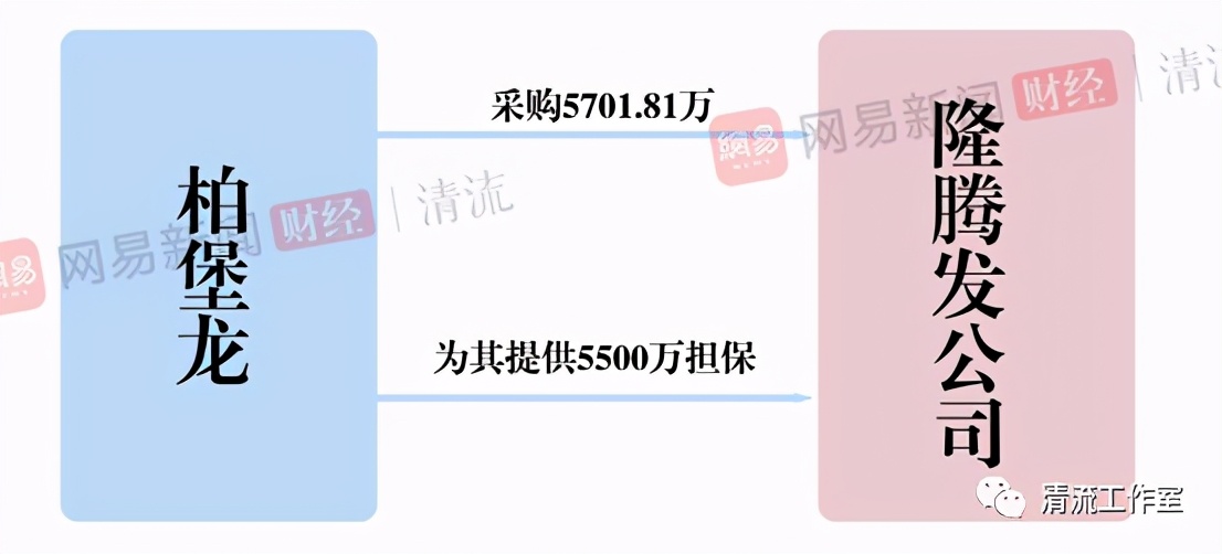 柏堡龙股份现状,柏堡龙这家公司是否已倒闭