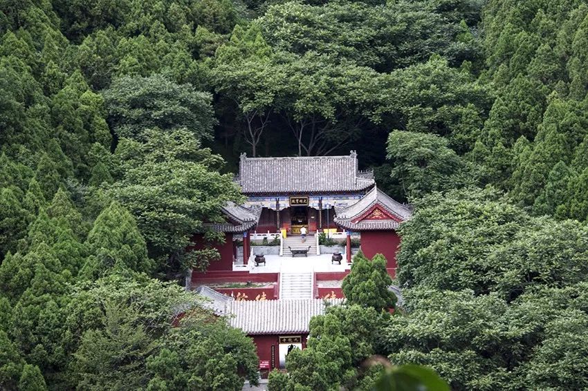 炎炎夏日躲树荫下才最凉快,远离城市喧哗清凉一夏