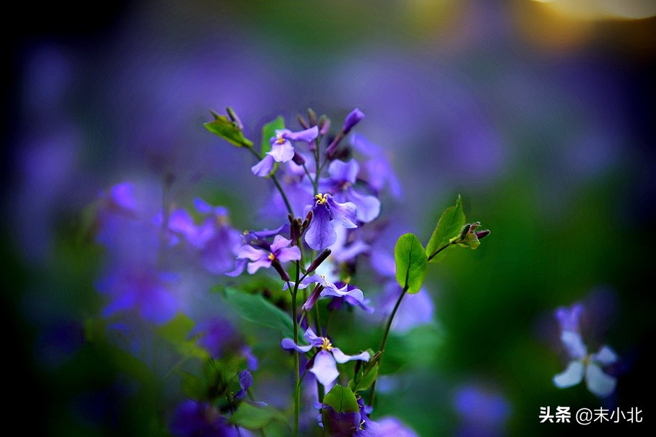 不要轻易嫁给穷男人,嫁给一个穷的男人