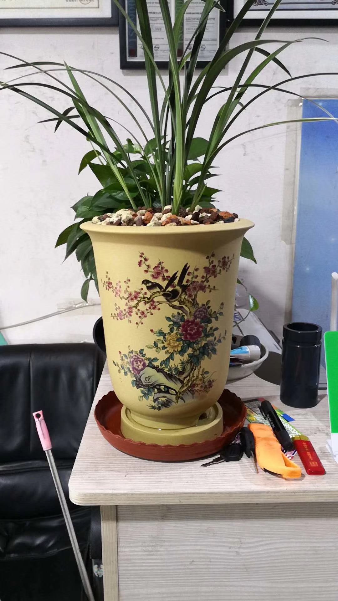 怎样判断兰花花苞僵苞,为防止兰花花苞消苞可以套袋吗