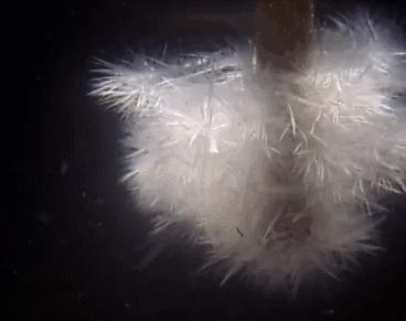 儿童最喜欢看的抖音玩具,儿童必备最近抖音网红玩具