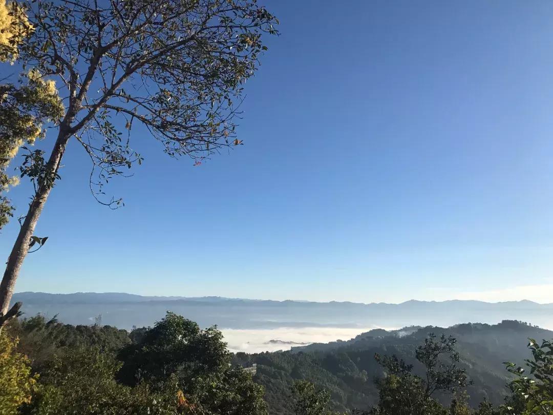 ifer来信|“男朋友”后宫无数，我却一点不吃醋